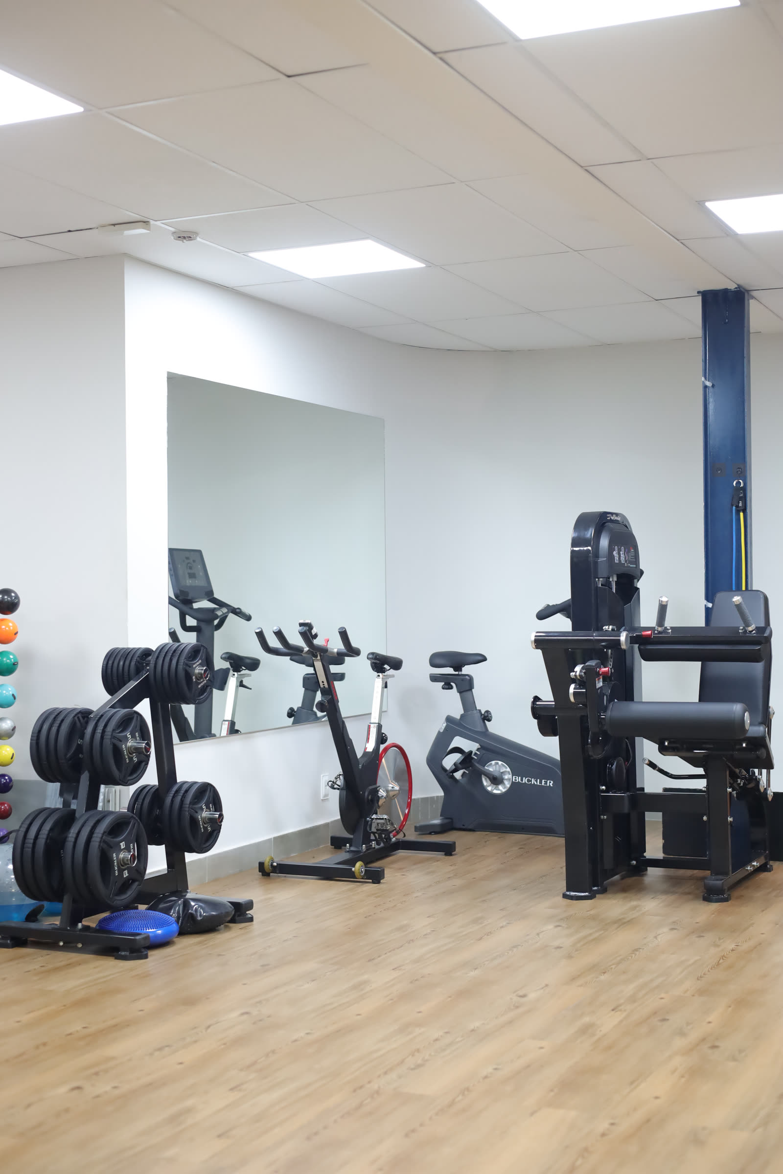 Treino & Reabilitação — Labs For Fit Uberlândia